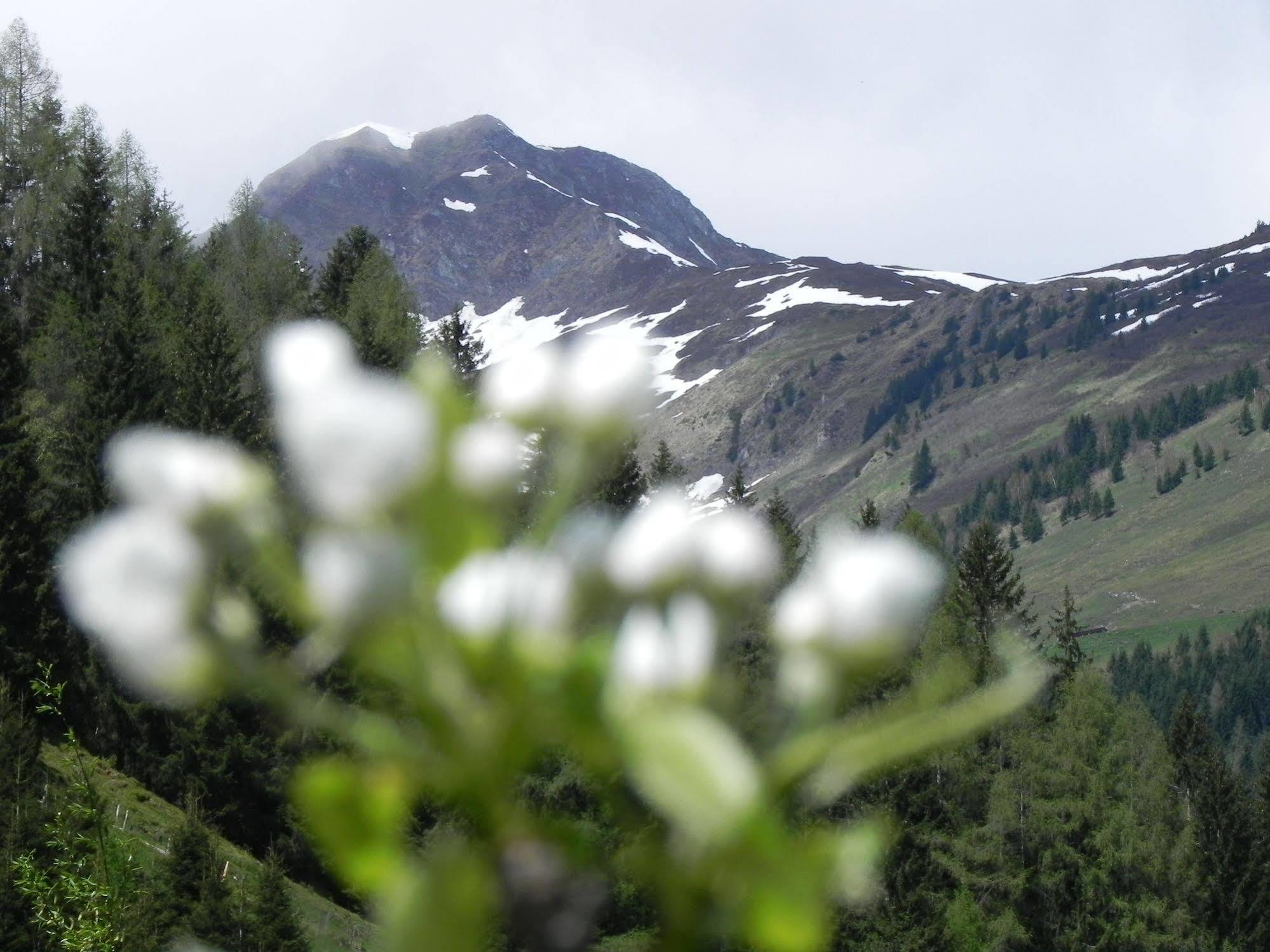 Hotel Garni Wieshof Rauris Buitenkant foto
