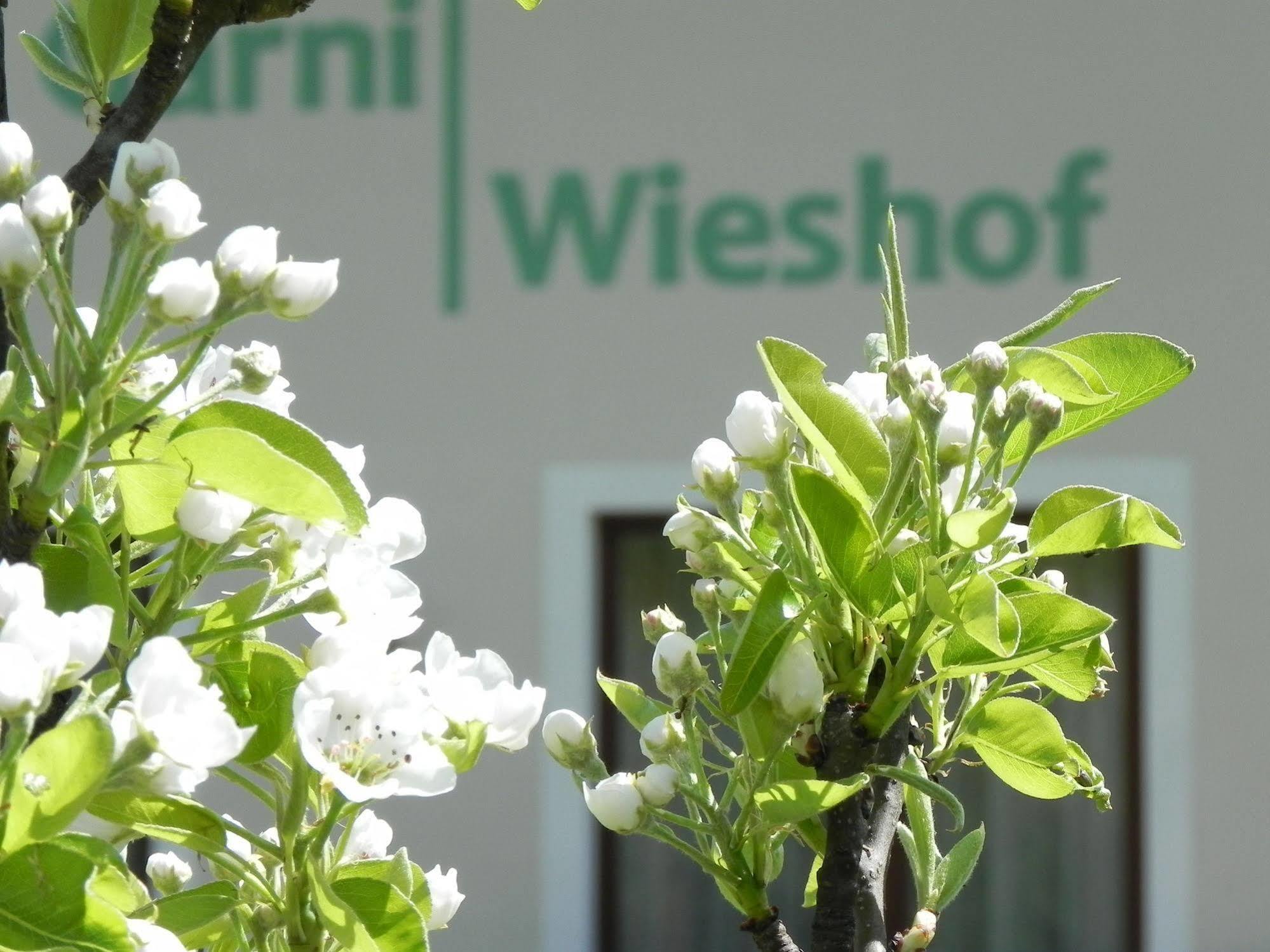 Hotel Garni Wieshof Rauris Buitenkant foto